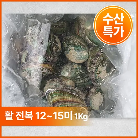 전복 1kg ( 생물_12~15마리/kg )
