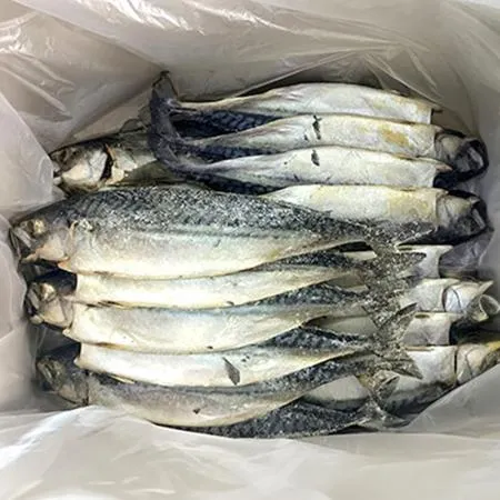 ♥수산특가♥자반고등어(내장제거_무염_400-500g/마리 5Kg/BOX) 노르웨이