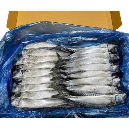 노르웨이 자반고등어 (대 10손 6.5Kg/BOX)