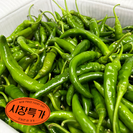 ★매일시장특가★ 청양고추(국산 상 10Kg/BOX) 고추 초특가 채소 야채 국내산 고추 청양