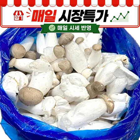 ★매일시장특가★ 총알새송이버섯 (국내산/중소/실속 2Kg/BOX) 미니새송이