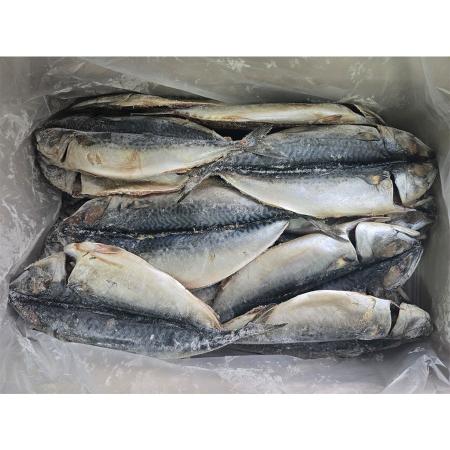 ♥수산특가♥ 자반고등어(30미 고갈비용 12Kg/BOX)칠레산 자반 고등어 가성비