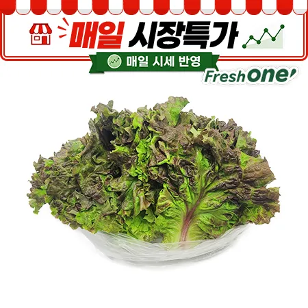 ★매일시장특가★ 프레시원 꽃상추 ( 500g/EA)
