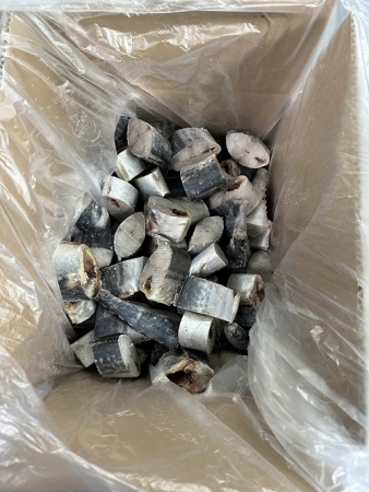 삼치(내장제거_80~100g/토막 조림용 KG)