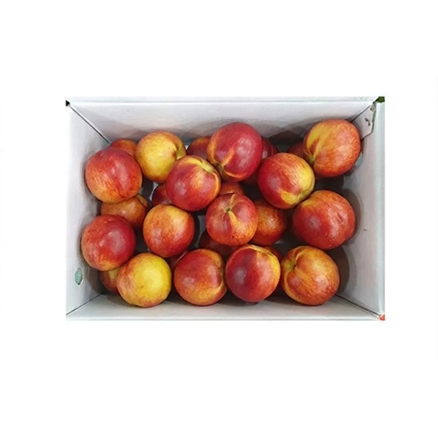 천도복숭아 (25~35입, 5Kg/BOX) 이미지