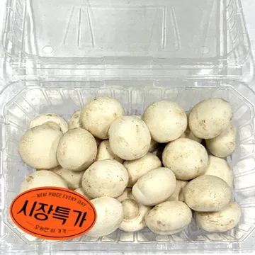 ★매일시장특가★ 양송이버섯(상 500g/EA) 초특가 채소 야채 양송이 버섯