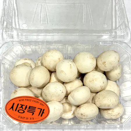 ★매일시장특가★ 양송이버섯(상 500g/EA) 초특가 채소 야채 양송이 버섯