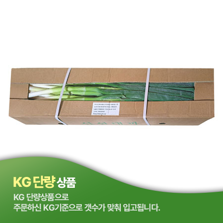 깐대파(상품 KG)/중국산