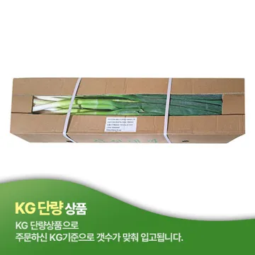 깐대파(상품 KG)/중국산