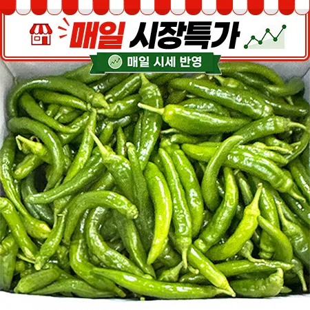 ★매일시장특가★ 아삭이고추(상 10KG/BOX) 오이고추