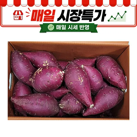 ★매일시장특가★ 밤고구마 10Kg/BOX (왕왕 약 400g/개) 튀김용