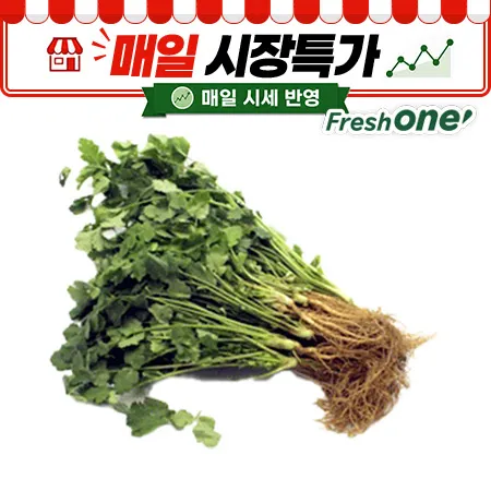 ★매일시장특가★ 고수 (국내산, 1단, 200g/EA)