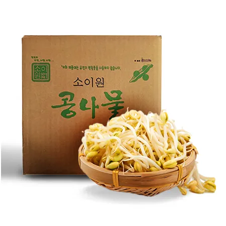 소이원 콩나물(곱슬이_단채 1Kg/Kg출고)/외국산