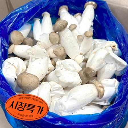 ★매일시장특가★ 미니새송이버섯(국내산/중소/실속 2Kg/BOX) 초특가 채소 야채 새송이 버섯