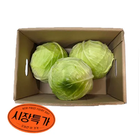 ★매일시장특가★ 양배추(겉잎제거_2~3입 6Kg/BOX)