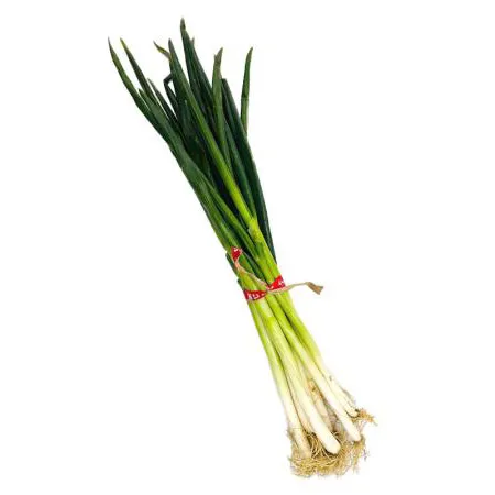 ★매일시장특가★ 국산 흙대파 실속 1단 초특가행사 대파 이미지