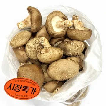 ★매일시장특가★ 표고버섯(국내산 상등급 1Kg/EA) 초특가 채소 야채 표고 버섯
