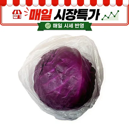 ★매일시장특가★ 프레시원 적채 (1Kg 내외 1입) 적양배추