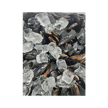 남선푸드 홍합(FO용 생물_손질 3Kg/BOX)