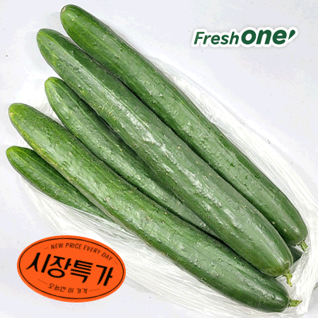 ★매일시장특가★ 취청오이/상/5입내외 1kg/청오이