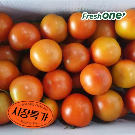 프레시원 완숙 토마토 (4번과 이하, 34-50과/5Kg)