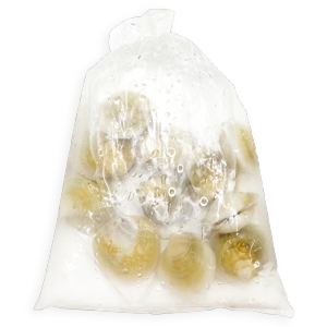 모시조개(생물_대_백색 KG)