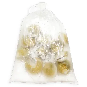 모시조개(생물_대_백색 KG)