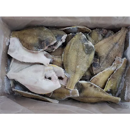 가자미(100~150g/마리 KG)