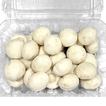 ★매일시장특가★ 프레시원 양송이버섯(상 500g/EA) 초특가 채소 야채 양송이 버섯 이미지