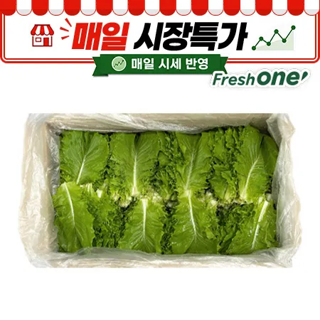 청상추(국내산, 상, 4Kg/BOX)