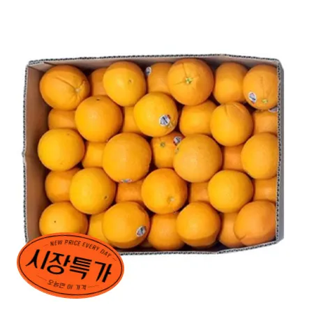 오렌지 (72과 생과용 17Kg/BOX)