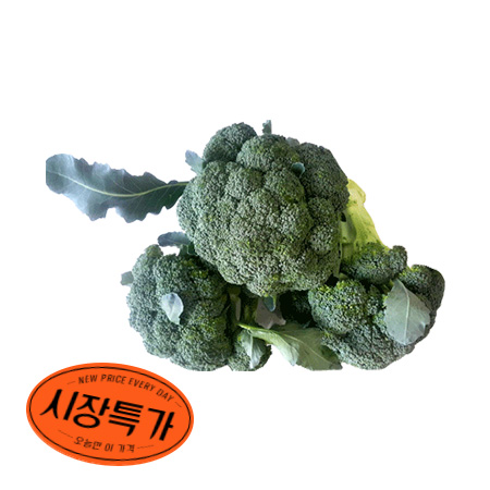 ★매일시장특가★ 브로컬리(상등급/KG) 중국산