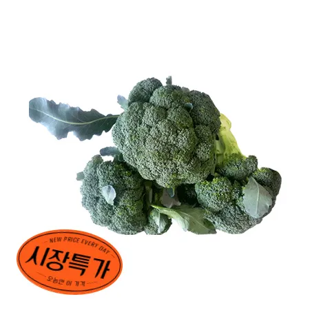 ★매일시장특가★ 브로컬리(상등급/KG) 중국산