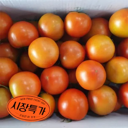 ★매일시장특가★ 토마토(완숙 34-50과(4번과 정도)5KG/BOX) 