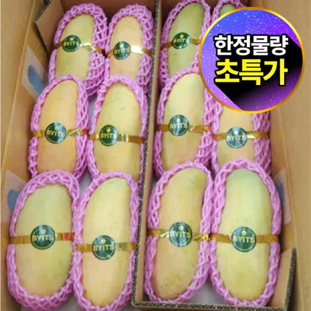 ★초특가★ 마하차녹 망고 (10-16과 5Kg/BOX) 무지개망고