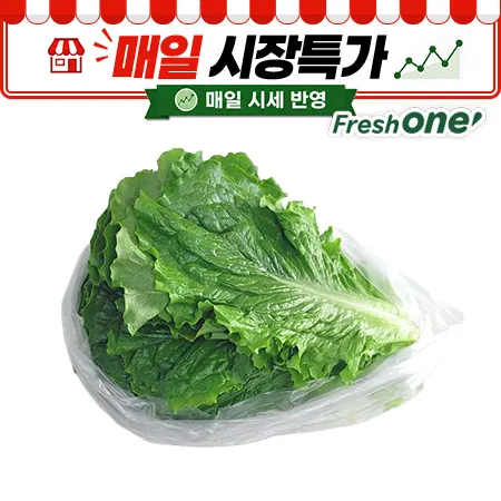 ★매일시장특가★ 프레시원 청상추(특, 500g/EA)