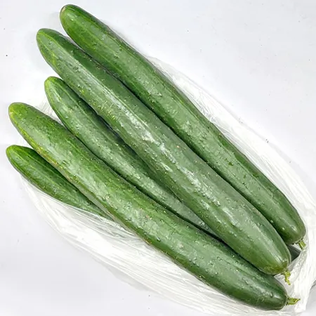 ★매일시장특가★ 취청오이/상/5입내외 1kg/청오이 이미지