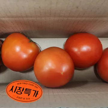 ★매일시장특가★ 토마토(완숙_5~7과 1Kg/EA)