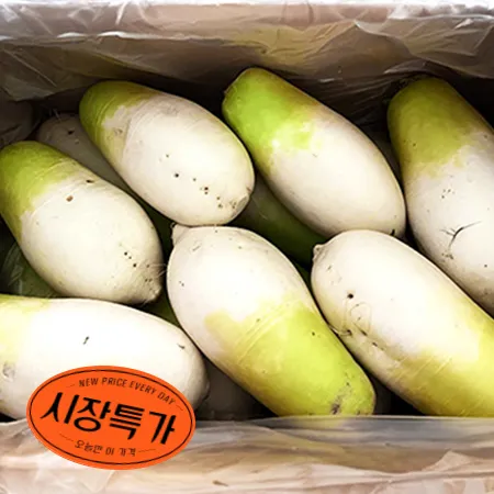 ★매일시장특가★ 무우( 12-14수내외 18kg/BOX) 무