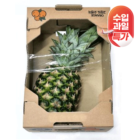 ★수입과일특가★ 골드파인애플(7수 1.6Kg/EA) 초특가 과일