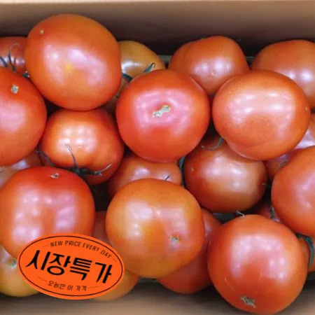 ★매일시장특가★ 토마토(완숙 특사이즈 15-20과 5KG/BOX)