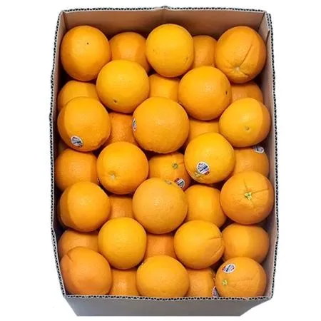 오렌지 (88과 생과용 17Kg/BOX) 이미지