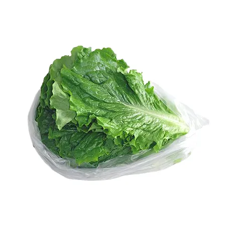 ★매일시장특가★ 프레시원 청상추(특 500g/EA) 초특가 채소 야채 이미지