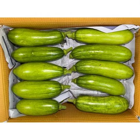 애호박(상 강서청과 176번 6Kg/BOX)