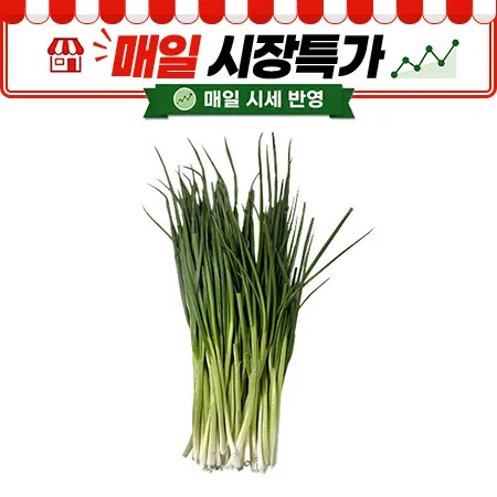★매일시장특가★ 깐쪽파 (국내산 500g/EA) 쪽파