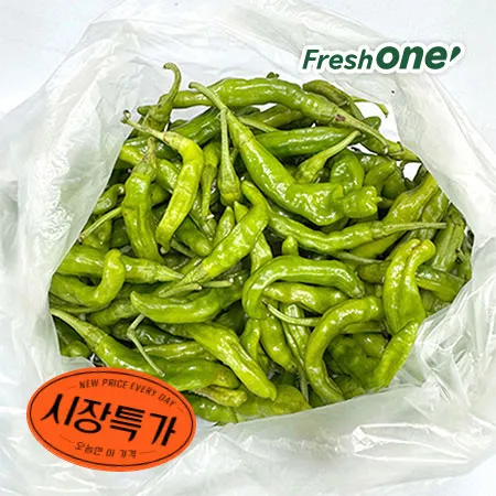 ★매일시장특가★ 프레시원 꽈리고추(국산 500g/EA)