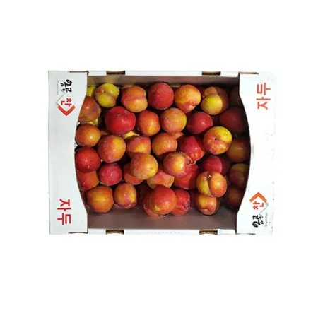 자두 (5Kg/BOX)