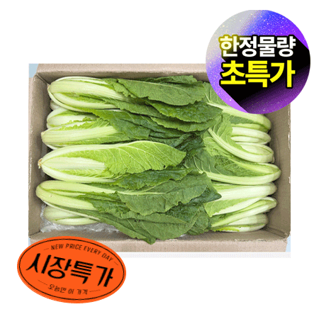 ★매일시장특가★ 얼갈이배추(상 4Kg/BOX) 초특가 채소 야채 얼갈이