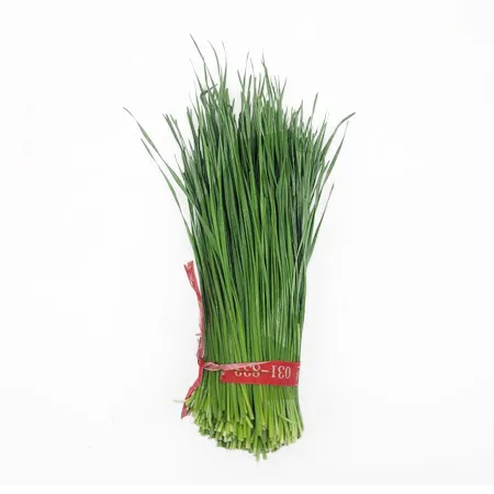 ★매일시장특가★ 프레시원 영양부추 (1단 200g/EA) 이미지