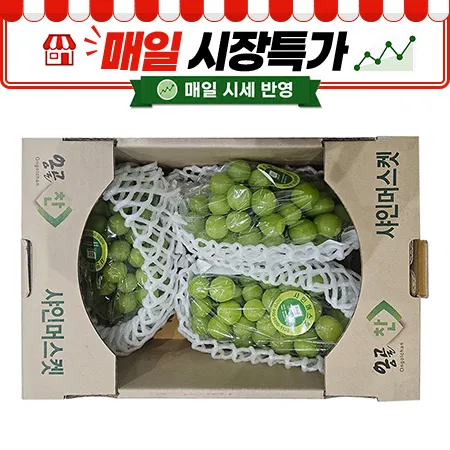★매일시장특가★ 샤인머스캣(3~4수 2Kg/BOX)
